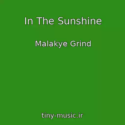 کاور آهنگ In The Sunshine از Malakye Grind