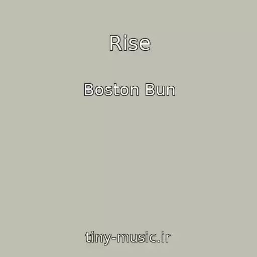 کاور آهنگ Rise از Boston Bun