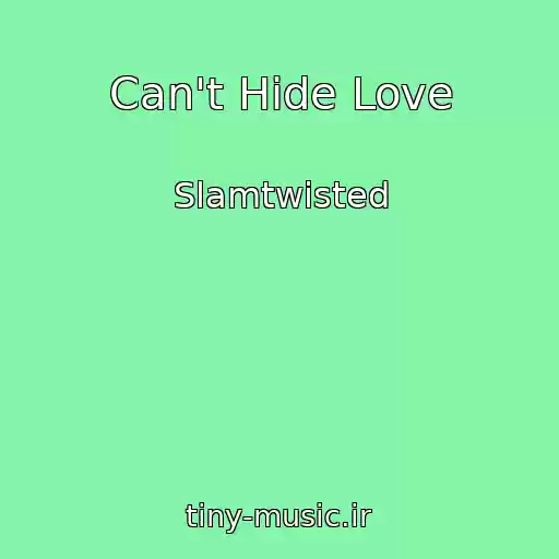 کاور آهنگ Can't Hide Love از Slamtwisted