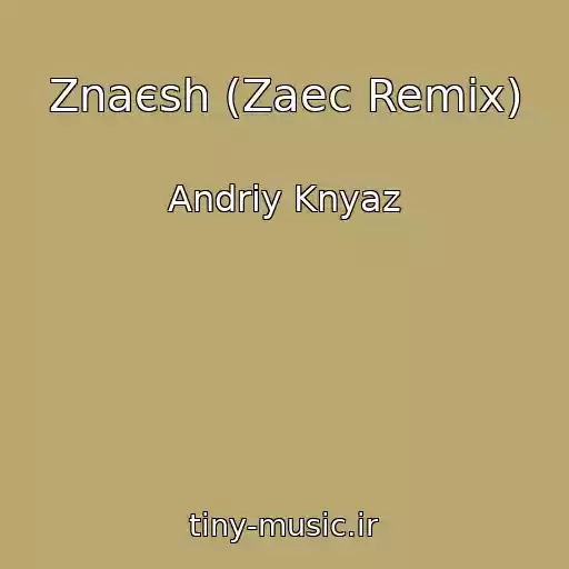 کاور آهنگ Znaєsh (Zaec Remix) از Andrіy Knyaz