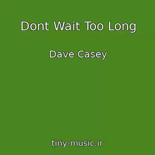 کاور آهنگ Dont Wait Too Long از Dave Casey