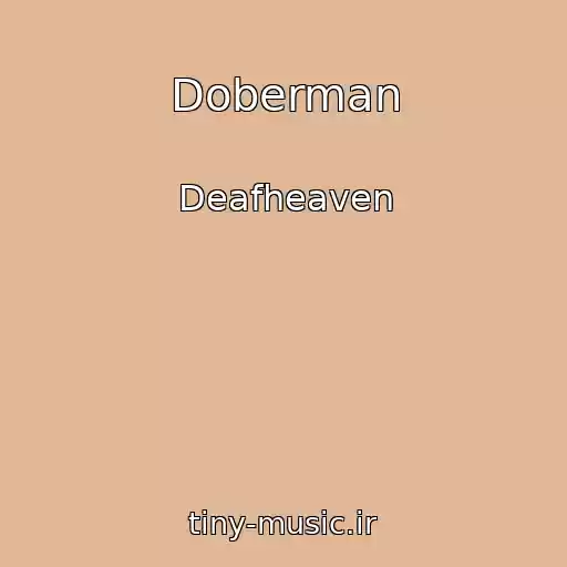 کاور آهنگ Doberman از Deafheaven