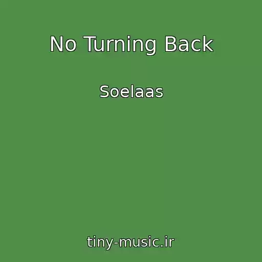 کاور آهنگ No Turning Back از Soelaas