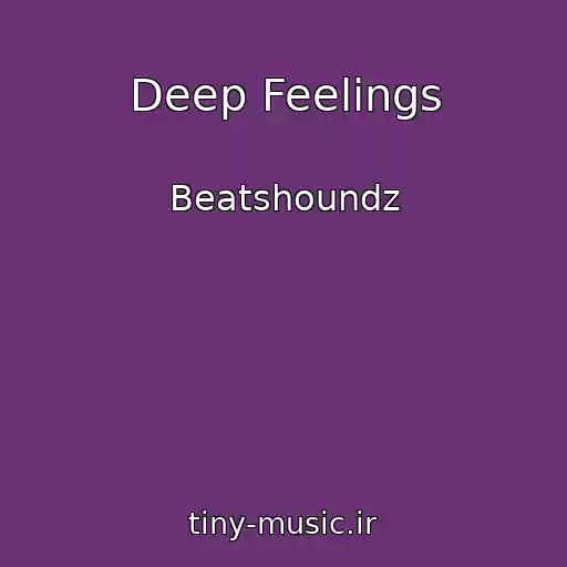کاور آهنگ Deep Feelings از Beatshoundz