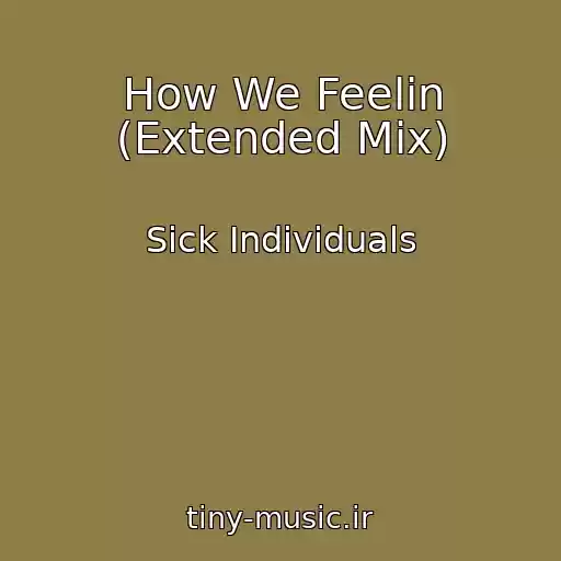کاور آهنگ How We Feelin (Extended Mix) از Sick Individuals