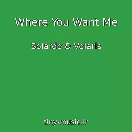 کاور آهنگ Where You Want Me از Solardo & Volaris
