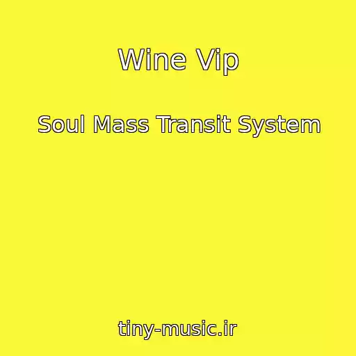 کاور آهنگ Wine Vip از Soul Mass Transit System
