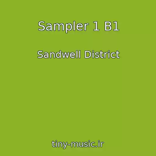 کاور آهنگ Sampler 1 B1 از Sandwell District