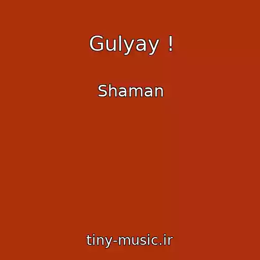 کاور آهنگ Gulyay ! از Shaman