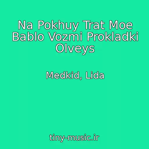 کاور آهنگ Na Pokhuy Trat Moe Bablo Vozmi Prokladki Olveys از Medkid, Lida