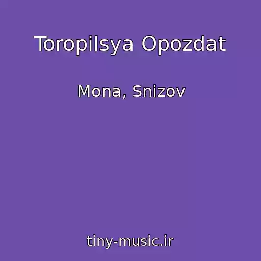 کاور آهنگ Toropilsya Opozdat از Mona, Snizov