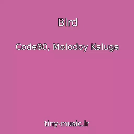 کاور آهنگ Bird از Code80, Molodoy Kaluga