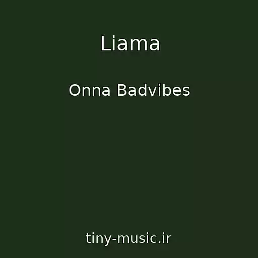 کاور آهنگ Liama از Onna Badvibes