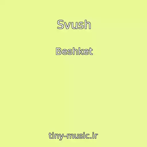 کاور آهنگ Svush از Beshket