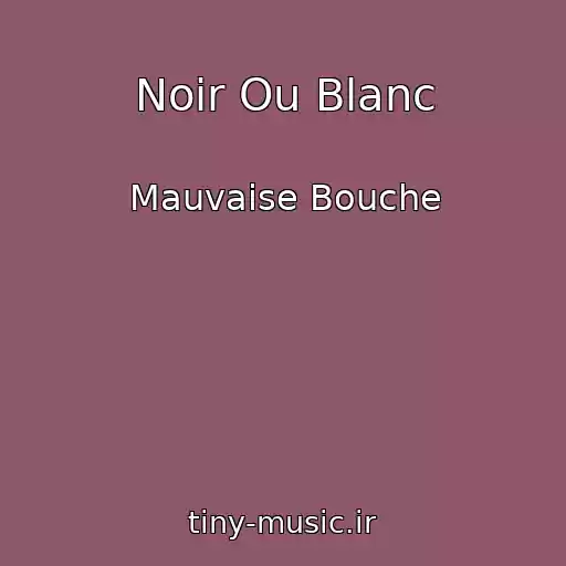 کاور آهنگ Noir Ou Blanc از Mauvaise Bouche