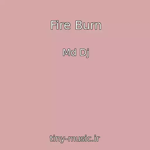 کاور آهنگ Fire Burn از Md Dj