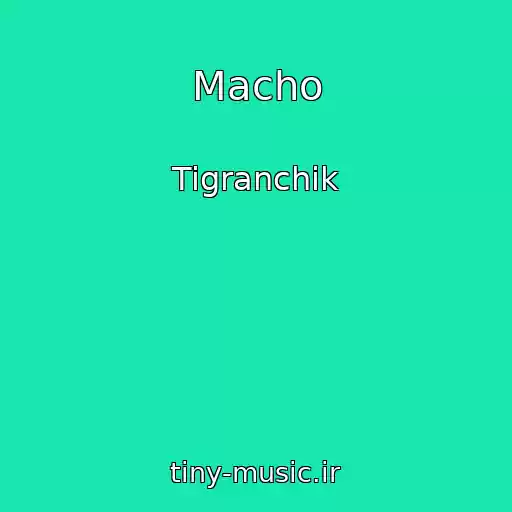 کاور آهنگ Macho از Tigranchik