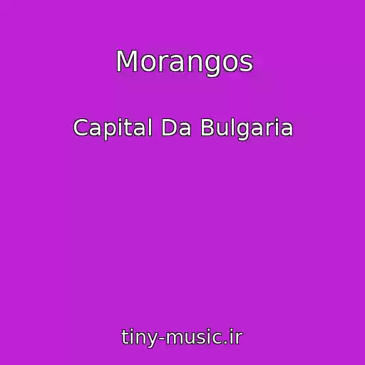 کاور آهنگ Morangos از Capital Da Bulgaria