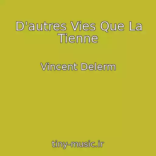 کاور آهنگ D'autres Vies Que La Tienne از Vincent Delerm
