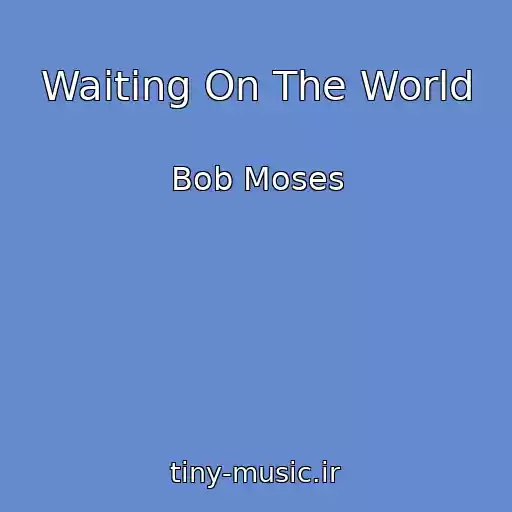 کاور آهنگ Waiting On The World از Bob Moses