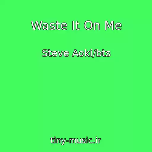 کاور آهنگ Waste It On Me از Steve Aoki/bts