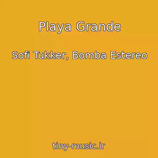 کاور آهنگ Playa Grande از Sofi Tukker, Bomba Estereo