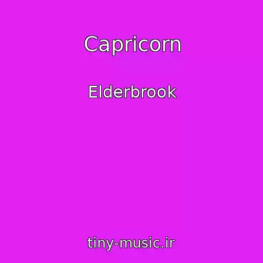 کاور آهنگ Capricorn از Elderbrook