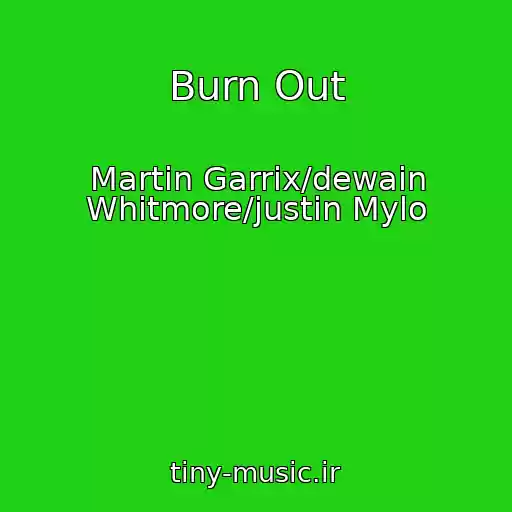 کاور آهنگ Burn Out از Martin Garrix/dewain Whitmore/justin Mylo