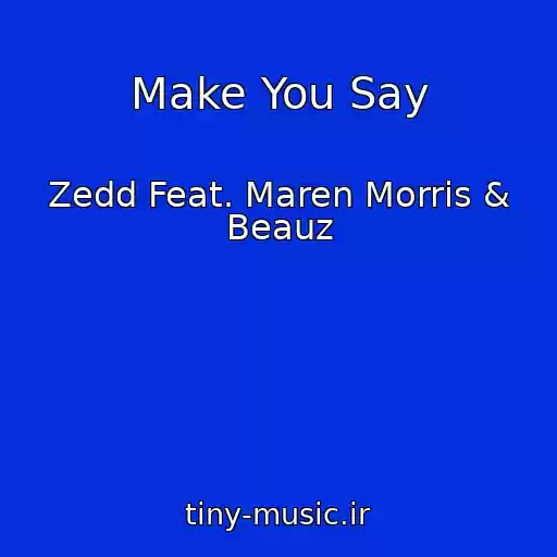 کاور آهنگ Make You Say از Zedd Feat. Maren Morris & Beauz