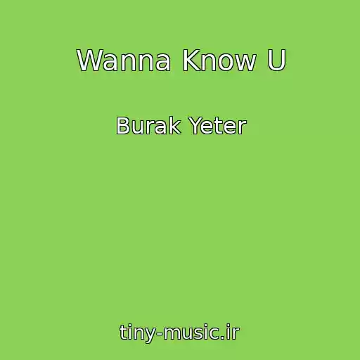 کاور آهنگ Wanna Know U از Burak Yeter