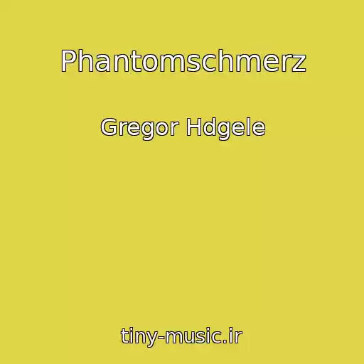 کاور آهنگ Phantomschmerz از Gregor Hdgele