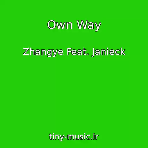 کاور آهنگ Own Way از Zhangye Feat. Janieck