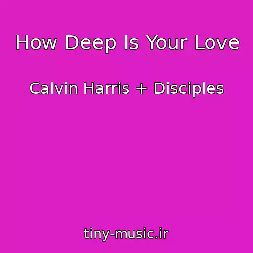 کاور آهنگ How Deep Is Your Love از Calvin Harris + Disciples