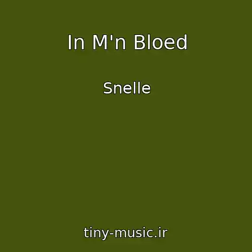 کاور آهنگ In M'n Bloed از Snelle