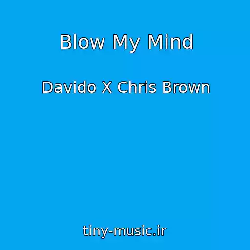 کاور آهنگ Blow My Mind از Davido X Chris Brown