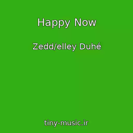 کاور آهنگ Happy Now از Zedd/elley Duhé