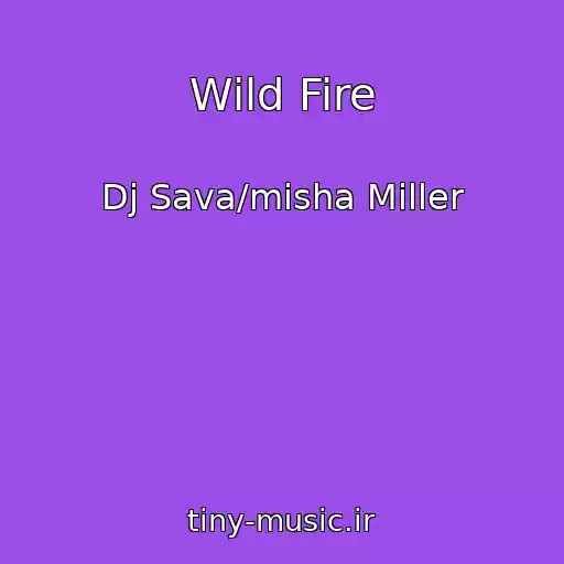 کاور آهنگ Wild Fire از Dj Sava/misha Miller