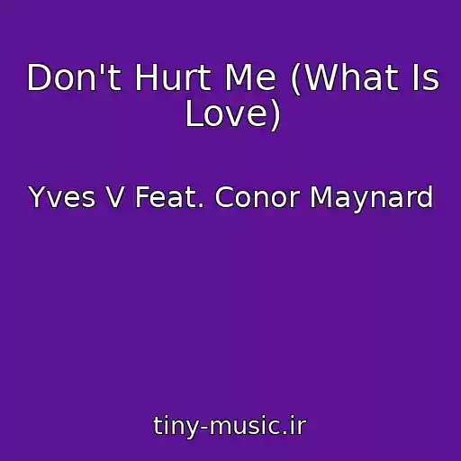 کاور آهنگ Don't Hurt Me (What Is Love) از Yves V Feat. Conor Maynard