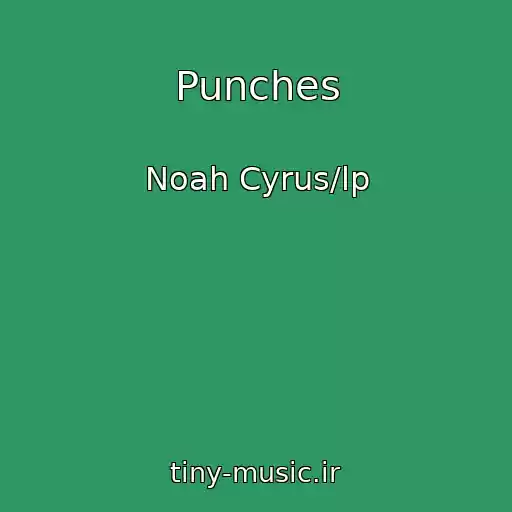 کاور آهنگ Punches از Noah Cyrus/lp