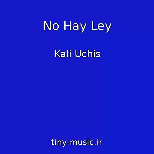 کاور آهنگ No Hay Ley از Kali Uchis