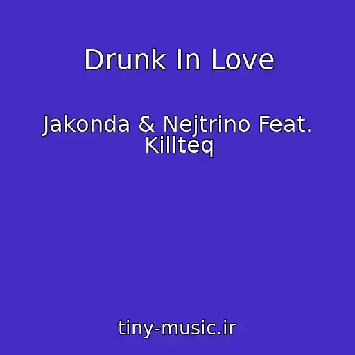 کاور آهنگ Drunk In Love از Jakonda & Nejtrino Feat. Killteq