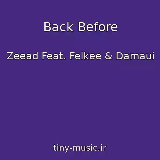 کاور آهنگ Back Before از Zeead Feat. Felkee & Damaui