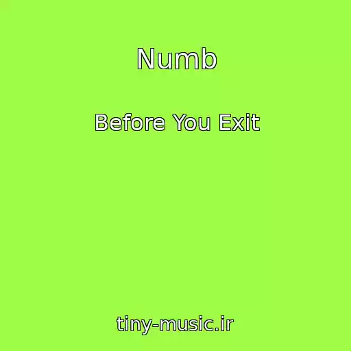کاور آهنگ Numb از Before You Exit