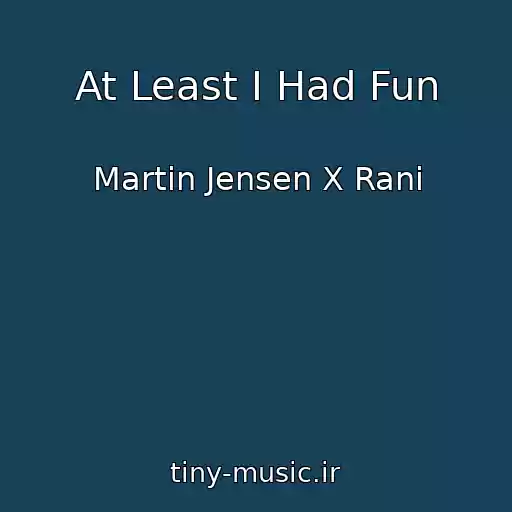 کاور آهنگ At Least I Had Fun از Martin Jensen X Rani