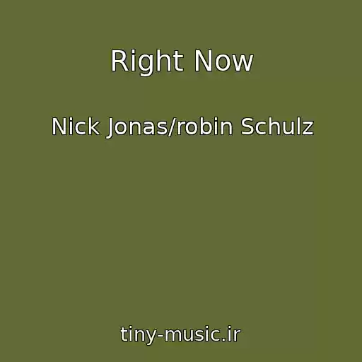 کاور آهنگ Right Now از Nick Jonas/robin Schulz