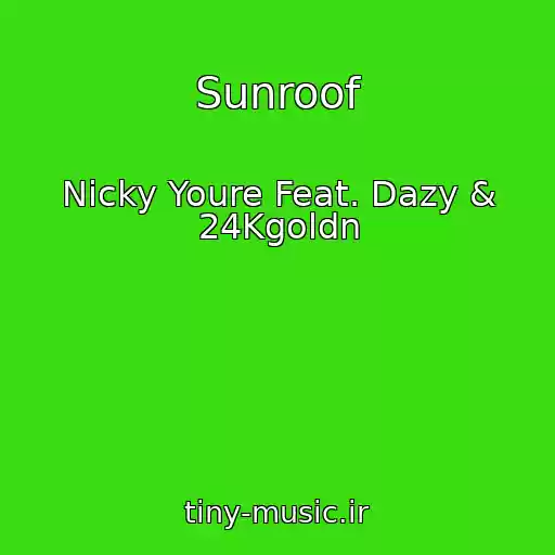 کاور آهنگ Sunroof از Nicky Youre Feat. Dazy & 24Kgoldn