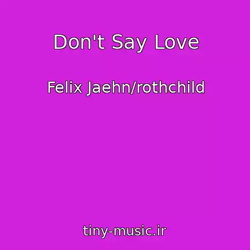 کاور آهنگ Don't Say Love از Felix Jaehn/rothchild