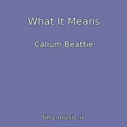 کاور آهنگ What It Means از Callum Beattie