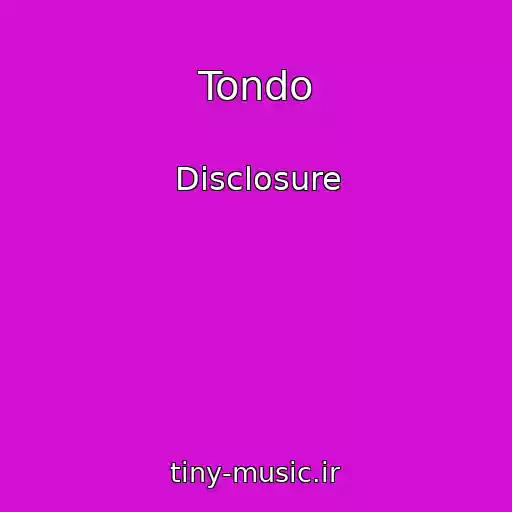 کاور آهنگ Tondo از Disclosure