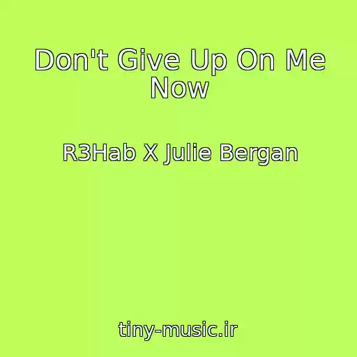 کاور آهنگ Don't Give Up On Me Now از R3Hab X Julie Bergan